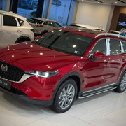 Chọn xe Mazda cho gia đình có trẻ nhỏ: Nên ưu tiên kiểm tra những gì?: Gợi ý thực tế